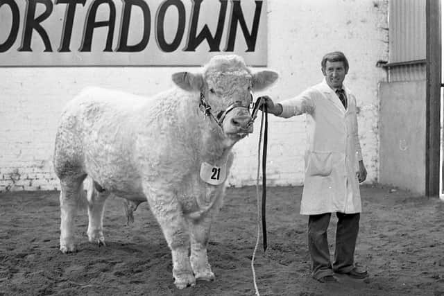 Pictured in November 1982 is Walter Shortt from Omagh, Co Tyrone, with the Charolais supreme champion, which was owned by Mervyn Porter of Mountjoy, Moira, at a Charolais breed show and sale which was held at Portadown. Picture: Farming Life/News Letter archives