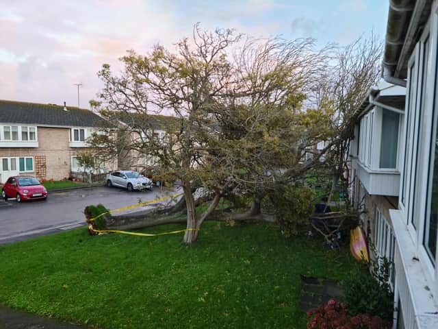 Heavy winds from Storm Claudio have upended a tree causing it to fall down on flats on a Bognor Road.
Pic by Neil Cooper