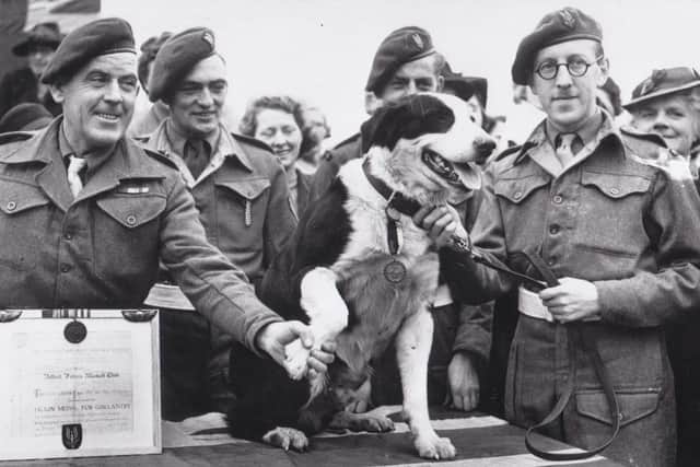 A medal, awarded to a War Dog named Rob who served with the Special Air Service Regiment during the Second World War, has sold for a world record price. Image: Noonans