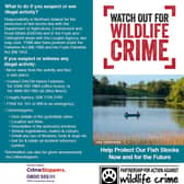 The Partnership for Action Against Wildlife Crime (PAW) Fin (fish poaching) group have launched a new leaflet to combat poaching in Northern Ireland. Picture: Submitted