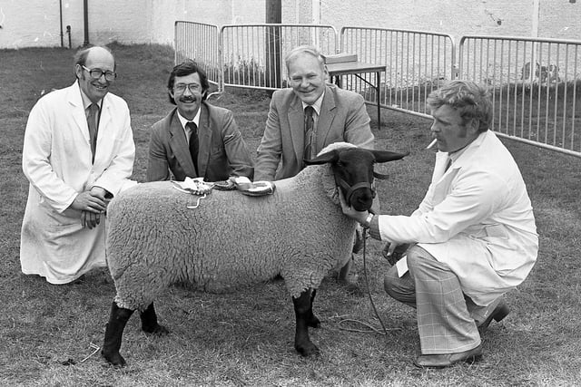 Mr Samuel Mawhinney, Millisle, with the first prize Suffolk ewe at the breed show and sale at Balmoral in August 1982. Looking on are the judge, Mr William Stewart, Scotland, and Mr Lowry Cunningham and Mr Brian Smith, representing the sponsors, Bank of Ireland. Picture: Farming Life/News Letter archives