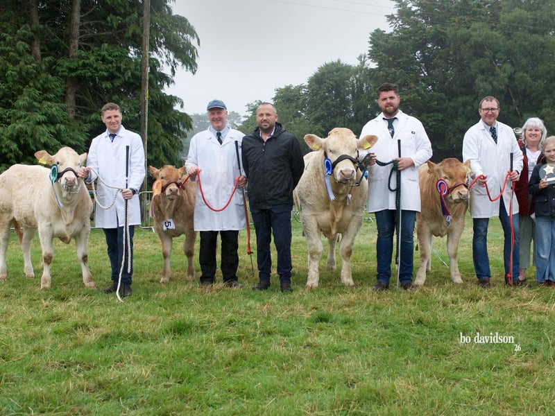 Top 4 placed calves in the Championship from Ballygowan, Moneyscalp and Silverwood Herds with Judge John Barry Moran  and sponsor Carole Johnston of Northwick House.