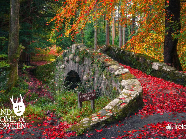 Foley's Bridge, Tollymore Forest Park, Co. Down