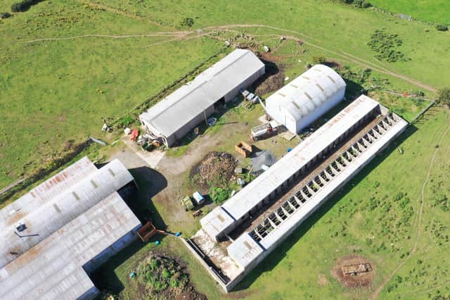 A farm extending to around 48 acres, including 27 acres of grazing land, will be sold at auction later this month. Image: Wilsons Auctions