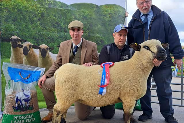 Jim and David Fletcher with their 1st placed Aged Ewe and Champion Female, alone with Judge Stephen Short.