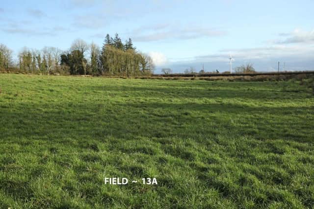 The land is suitable for cutting and grazing. Image: www.mcilraths.com