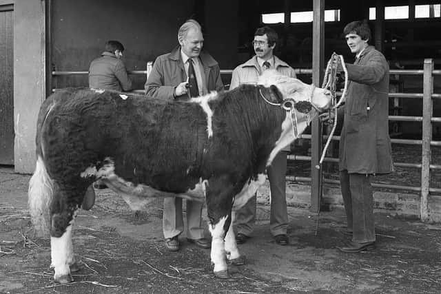 Pictured in February 1992 is David Perry, Ahoghill, with the Simmental supreme champion at the Co Antrim Agricultural Society's spring show and sale at Ballymena. Also in the picture are Brian Smith, Bank of Ireland, and Lowry Cunningham, Bank of Ireland. Picture: Farming Life/News Letter archives
