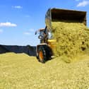 An agricultural risk expert is warning UK farmers to urgently check their silage clamps in the wake of a string of hefty fines for silage pollution