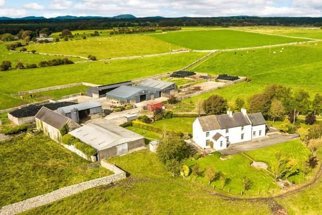 The land at Millburn Farm extends to about 96 acres in total, with the main holding at Millburn comprising about 87.5 acres of ring-fenced grassland. Image: Savills