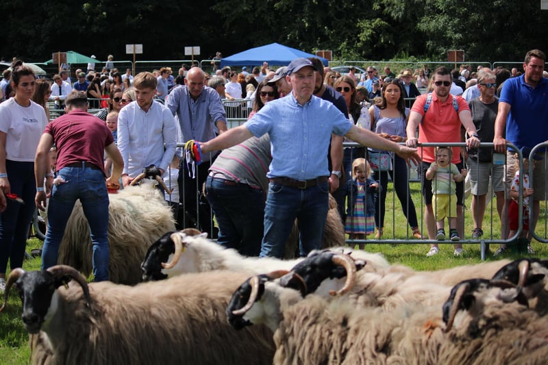 Castlewellan Agricultural Show will be held on Saturday 15 July at Castlewellan Forest Park.