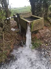 Remember to insulate exposed water pipes to protect them against any potential cold weather disruptions.