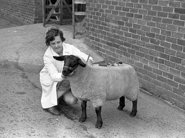 This collection of old photos is from 1981.