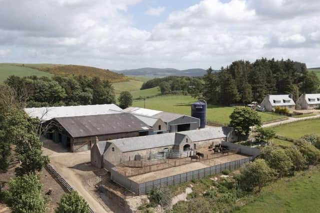 The Tillyfour farm steading has an extensive range of buildings which are extremely well equipped for housing and handling cattle. Image: www.savills.com