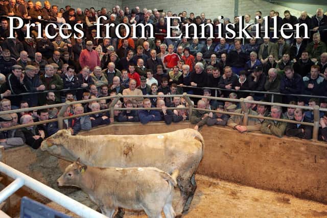 Enniskillen Mart