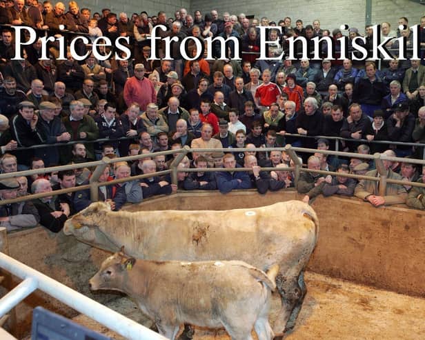 Enniskillen Mart
