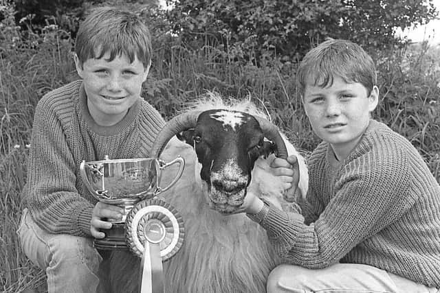 Pictured at the Newry Show in June 1992 are James and Mark Nicholl from Banbridge who are seen keeping a tight grip on their uncle Maurice’s champion Blackface ram at the show. Picture: News Letter archives/Darryl Armitage