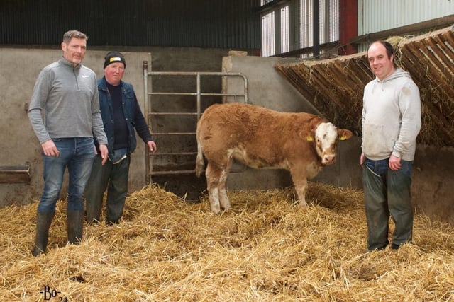 NICC Chairman, Aaron Quigley, visiting Noel & Richard McIlwaine’s farm in Plumbridge, Co Tyrone.