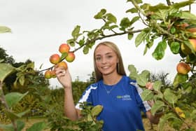 Jessica Morrow from Ballymoney, a former pupil of Coleraine Grammar School, is studying on her final year of the BSc (Hons) Degree in Food Innovation and Nutrition course at CAFRE. Jessica is delighted she ‘picked’ to study a Food Degree qualification at Loughry Campus.
