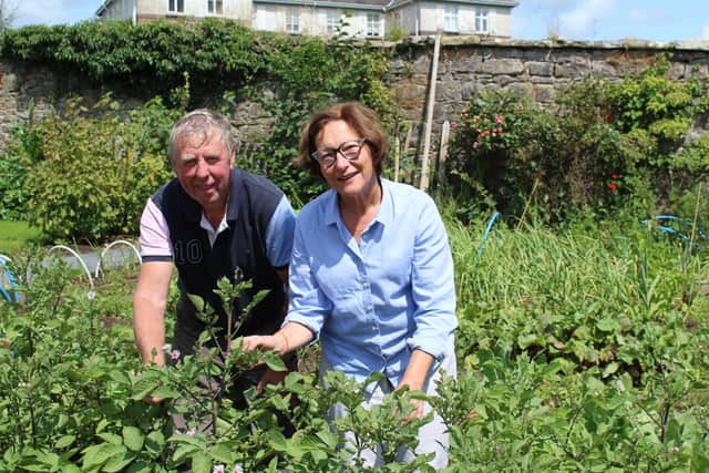 Donaghmore Horticultural Community members Sammy Wilson and Emily O'Rourke discussing the progress of the 2023 vegetable plots earlier this week. Picture: Richard Halleron