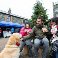 The best Christmas days out with the National Trust NI