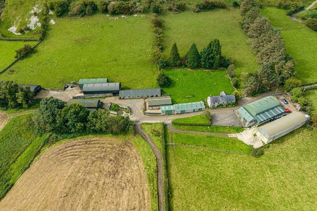 This outstanding coastal hill farm is now on the market. (Pic: J.A. McClelland & Sons)