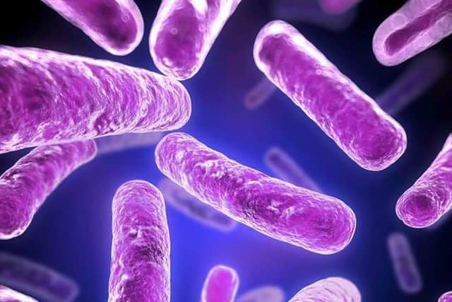 Study uses wastewater to track flu variants which could detect next ...