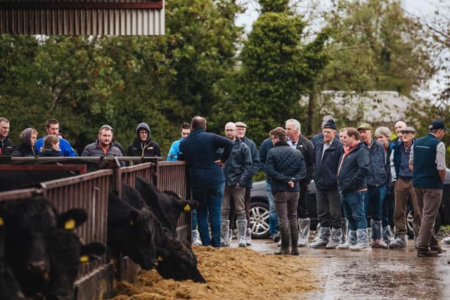 A large crowd gathered at the Foyle Food Group’s annual Autumn Nutrition Event held at the finishing ‘Farm of Excellence’ in Co. Tyrone on Friday (October 6). (Pic: Foyle Food Group)