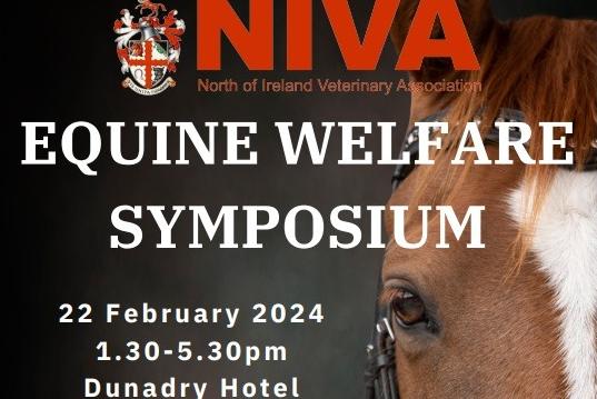 NIVA to hold major Equine Welfare Symposium