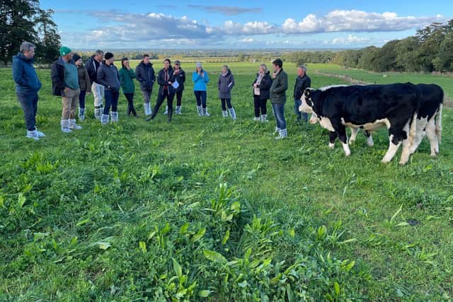 Members of the Multi-Species Swards for Beef &amp; Sheep EIP group will be speaking at the Conference and Farm Walk on Wednesday 28th June. Picture: AgriSearch