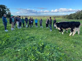 Members of the Multi-Species Swards for Beef &amp; Sheep EIP group will be speaking at the Conference and Farm Walk on Wednesday 28th June. Picture: AgriSearch