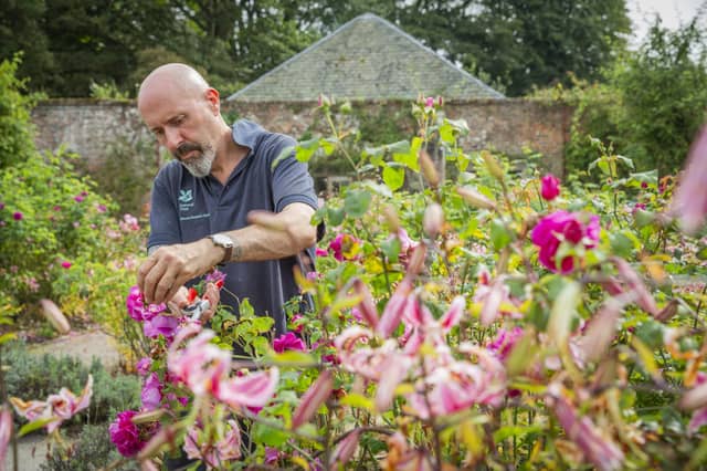 A gardener deadheads plants at Mount Stewart