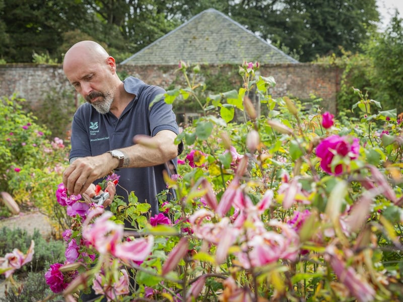 A gardener deadheads plants at Mount Stewart