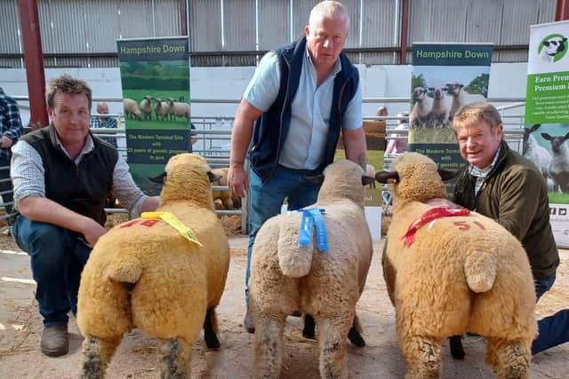 The Ewe Lamb Class, (from left) Sean Doyle, Rodger Laird, and Kevin McCarthy