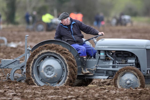 Pictured at the Mullahead Ploughing match. Picture: Steven McAuley/Kevin McAuley Photography Multimedia