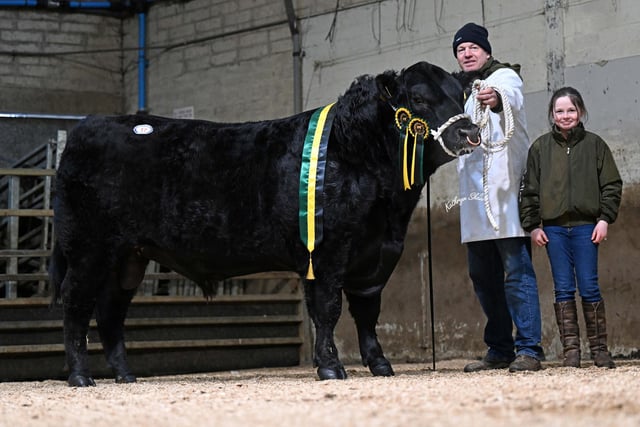 Male champion leads Dungannon Aberdeen Angus trade at 6,200gns