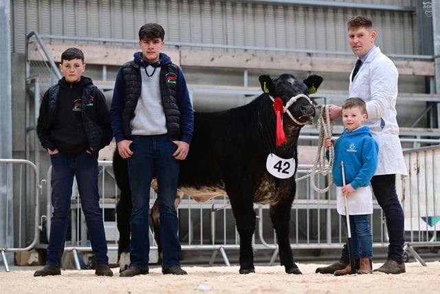Pop Idol shown by Mark Reid and Gareth Corrie Jnr was the winner of class 10 sponsored by IJ Lynn and Sons. Picture: Alfie Shaw, Agri-Images