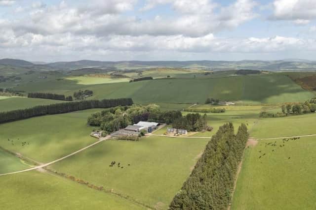 The 'original home of the Aberdeen Angus breed' is on the market through Savills, available as a whole for offers over £7,000,000. Image: www.savills.com