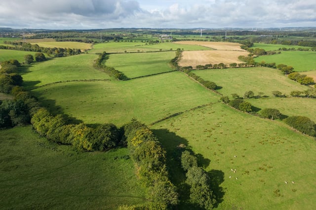 The land extends to approximately 75.34 acres in total and surrounds the farmhouse, cottage and buildings. (Pic: Galbraith)