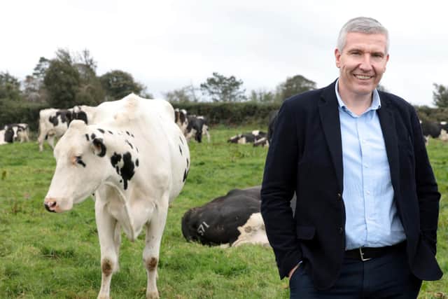 Dairy Council for Northern Ireland CEO Ian Stevenson.
