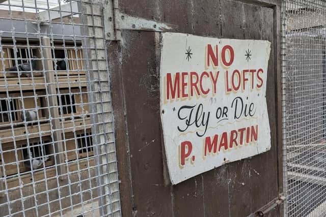 No Mercy Lofts - Fly or Die. (Pic: Jordan Hughes)
