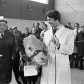 Pictured in October 1981 at the Royal Ulster Autumn show and sale at Balmoral is Alan McCracken from RHM who is seen handing over a cheque to the overall beef champion Hereford bull to Norman McMordie of Ballygowan. Looking on is Robert McBride, who judged the championship. Picture: Farming Life archives/Darryl Armitage
