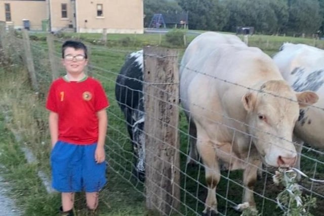 Michael's first Blonde bull from the Drumnafern Herd with his son.