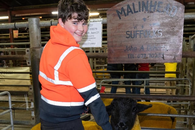 Ryan McDaid, Malin at the Donegal Pedigree Suffolk Breeders Show and Sale in Raphoe Livestock Mart. Photo Clive Wasson