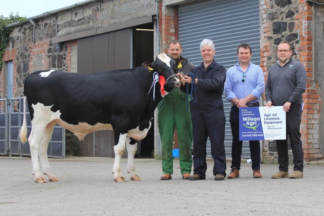 Supreme champion was Prehen Frenzied PLI £470 exhibited by Andrew Moore and Stuart Smith. Included are judge David McNaugher; and sponsor Darren Hamill, Wilson Agriculture. Picture: Julie Hazelton