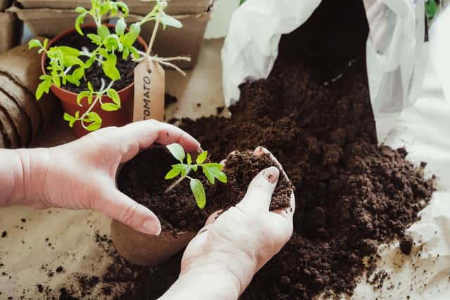 It's vital that farmers - and gardeners - keep the P and K values of their soil at the right level.
