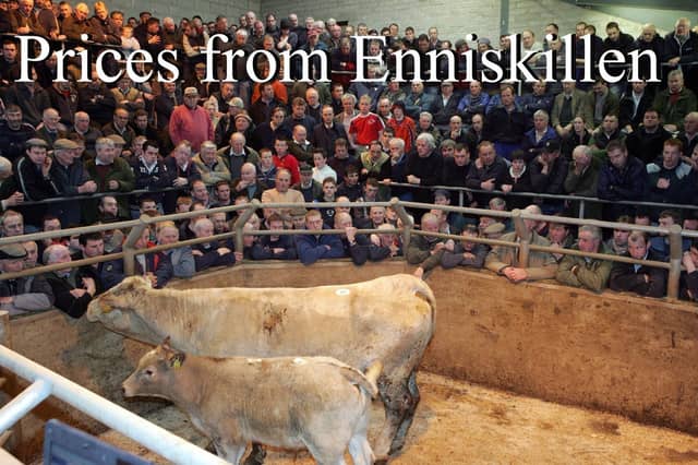 Enniskillen Mart