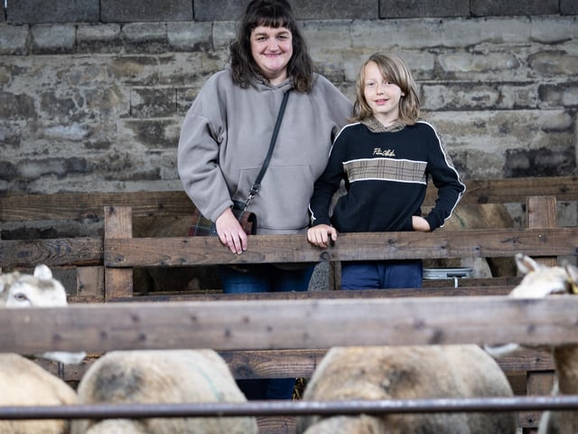 The lambing shed at Mullygarry Farm. Pic: PulsePR