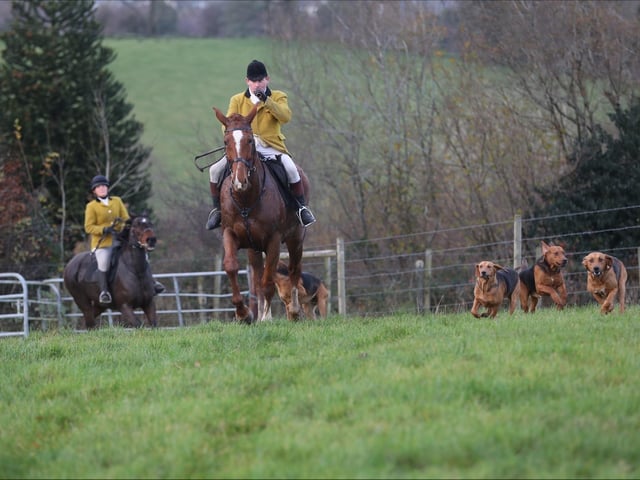 Huntsman and Whip Sean and Naomi McCavana. (Pic: Holestone Farmers Bloodhounds)