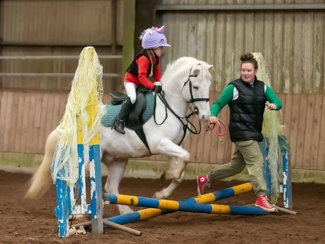 Blue rosette for Lexa Clarke and Spot in the assisted cross poles. (Pic: Equi-Tog)