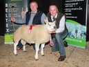 Pictured is Sean Daly with his 2021 second Omagh Show and Export Sale Supreme Champion, Glenview Falcon, alongside judge Brendan McQuaid. Pic: Beltex Club